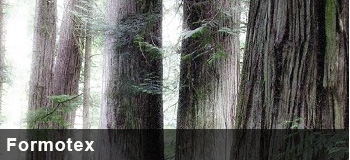 Formtex